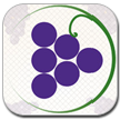 Android and IPhone App